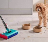 dyson-v12-s-bons-plans-frandroid