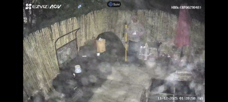 Ezviz HB8 Lite capture (47)