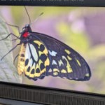 Hisense 116UX : le TV le plus démesuré du marché devient (un peu) plus accessible avec -4 000 € Hisense 116UX : le TV le plus démesuré du marché devient (un peu) plus accessible avec -4 000 €