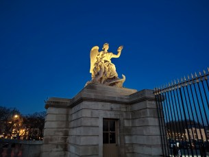 Honor Magic 8 Lite - 24 mm Nuit 2