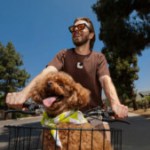 Amazon offre une première réduction à la nouvelle Insta360 GO Ultra, une caméra POV 4K d’à peine 53 g Amazon offre une première réduction à la nouvelle Insta360 GO Ultra, une caméra POV 4K d’à peine 53 g