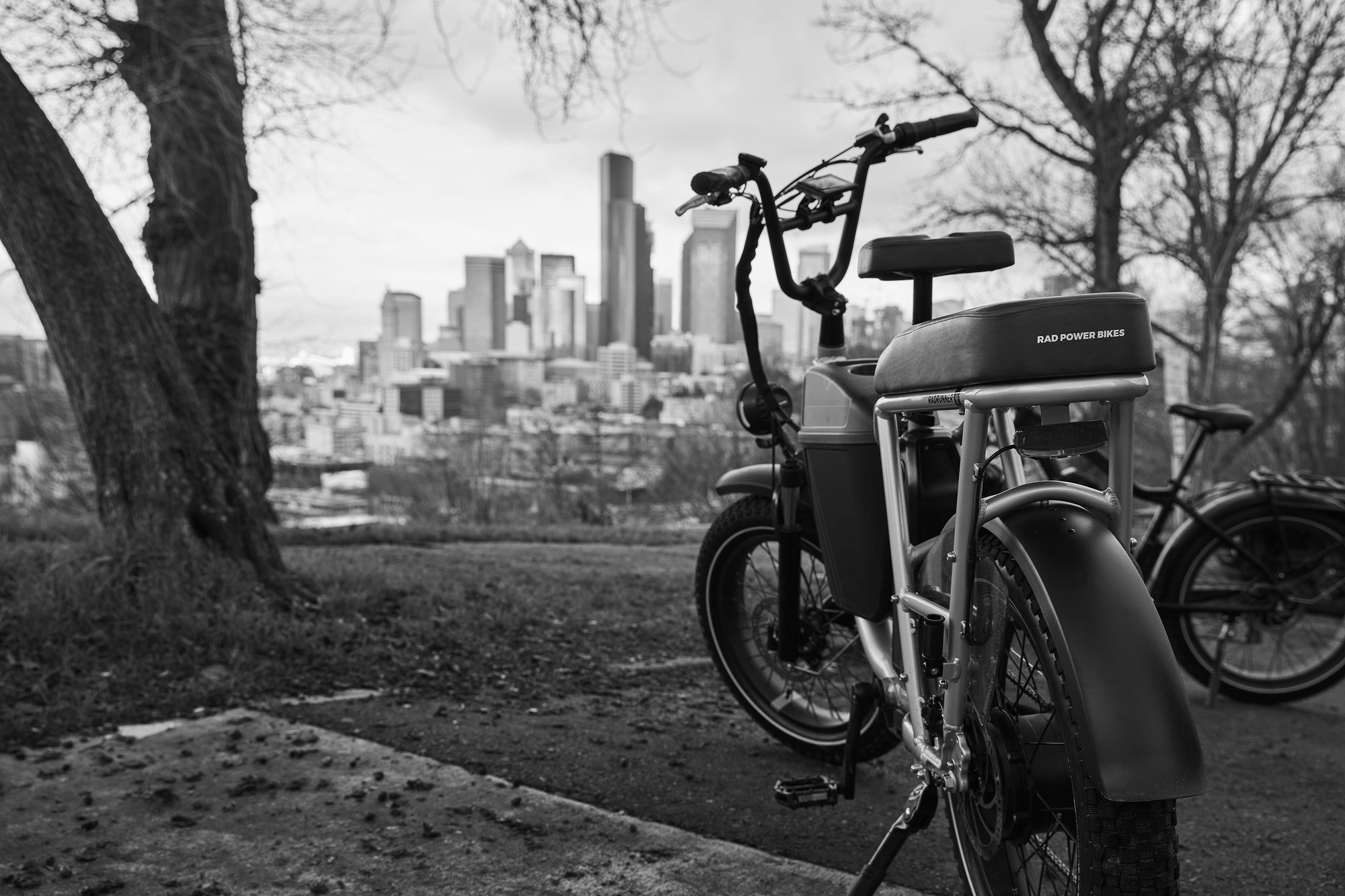 Rad Power Bikes vélo électrique