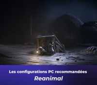 Config PC Reanimal 2026