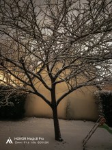 IMG_20260106_003825