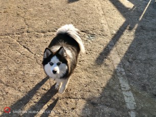 IMG_20260117_152558