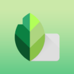 Google annonce une transformation majeure pour Snapseed sur Android