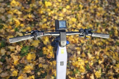 Scott Axis 20 Wave guidon