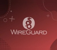 WireGuard
