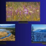 Découvrez les 3 meilleurs TV de 2025 sur Frandroid Découvrez les 3 meilleurs TV de 2025 sur Frandroid