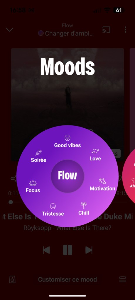 Deezer Flow 1