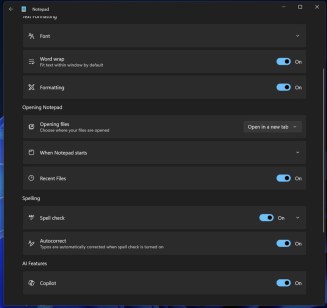 Source : Capture d'écran Windows Latest
