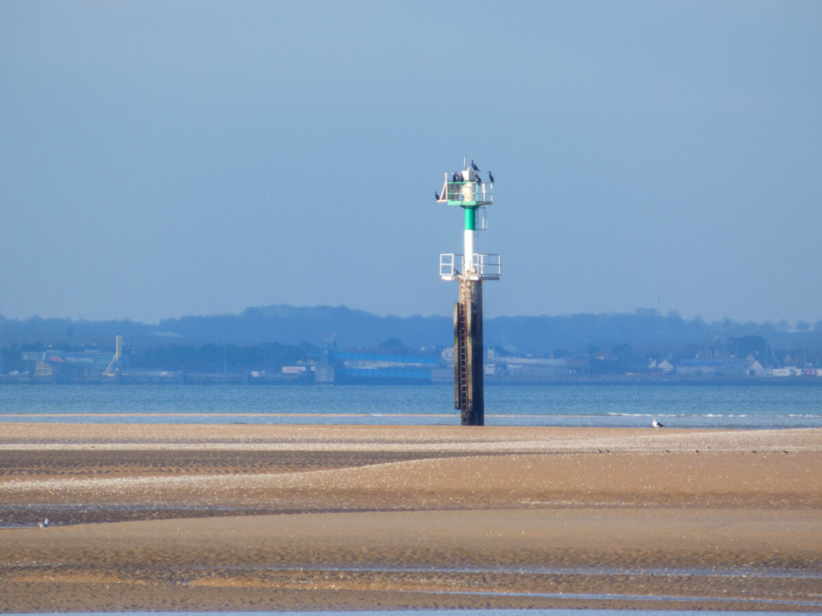 Cadrage à 1200 mm