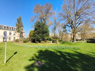 Poco X8 Pro - 16 mm
