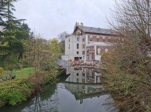 Galaxy A37 Photos (7)
