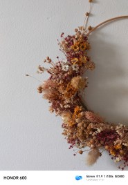 IMG_20260412_172121