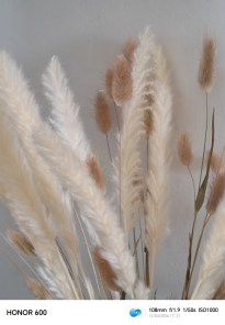 IMG_20260412_172157
