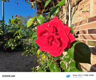 IMG_20260423_080612