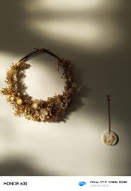 IMG_20260423_080820