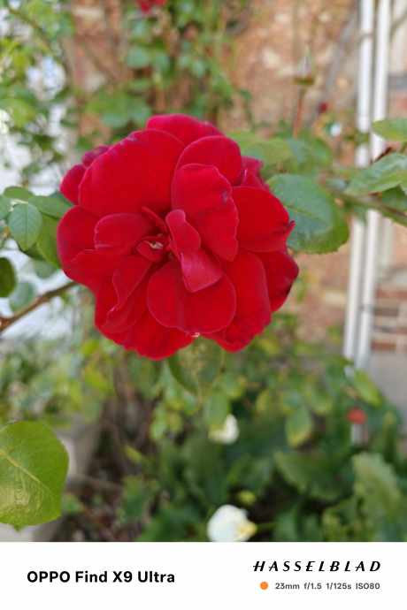 IMG20260420171220