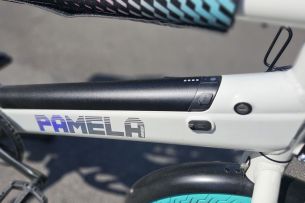 Pamela C18+ batterie