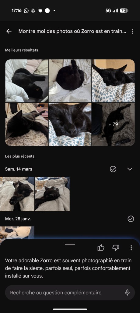 Résultats d'une recherche avec Gemini concernant mon chat Zorro sur Google Photos. // Source : Capture d'écran Frandroid.