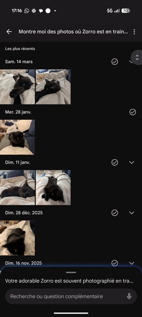 Résultats d'une recherche avec Gemini concernant mon chat Zorro sur Google Photos. // Source : Capture d'écran Frandroid.