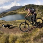 Tesla casse les prix, innovations solaires et bons plans vélos : l’actualité électrique de la semaine – Récap’ Survoltés