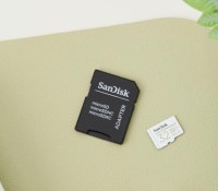 La carte microSD SanDisk Max Endurance.
