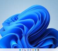 Windows 11