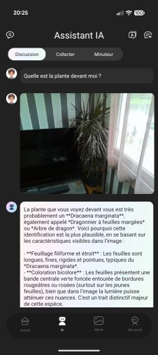 Plante