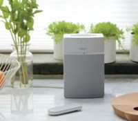 Bose SoundTouch 10 // Source : Bose 