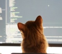 Chat Vibe