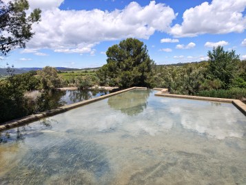 IMG_20260506_125718687_HDR