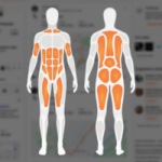 Strava muscle son jeu : l’application lance de nouvelles fonctions pour la musculation Strava muscle son jeu : l’application lance de nouvelles fonctions pour la musculation