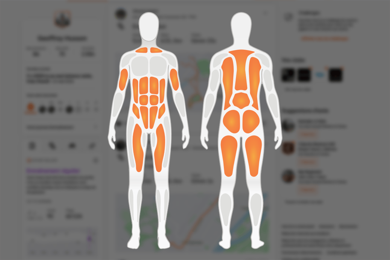 Les nouvelles cartes musculaires sur Strava
