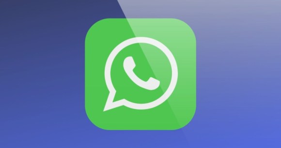 Logo WhatsApp // Source : Frandroid Logo WhatsApp // Source : Frandroid