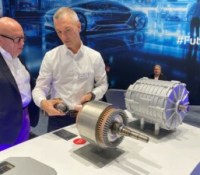 zf-iaa zf-iaa