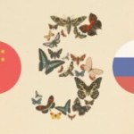Anthropic : derrière la désactivation de Fable 5 et Mythos 5, une peur de la Chine et de la Russie Anthropic : derrière la désactivation de Fable 5 et Mythos 5, une peur de la Chine et de la Russie