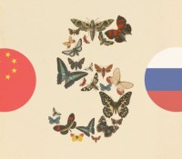 Les États-Unis ont peur que des hackers chinois et russes puissent exploiter Fable 5 d'Anthropic pour des cyberattaques. // Source : Anthropic (montage Frandroid)
