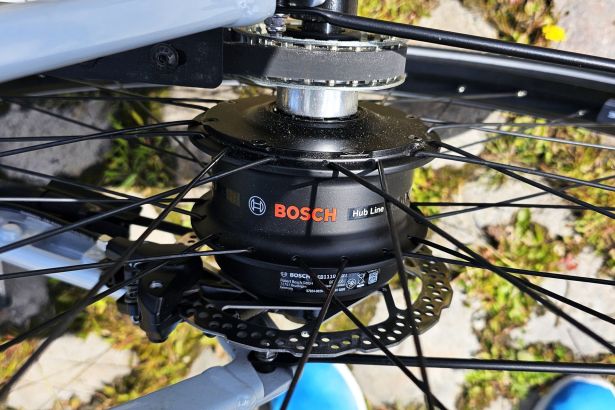 Gazelle Curb moteur Bosch Hub Line