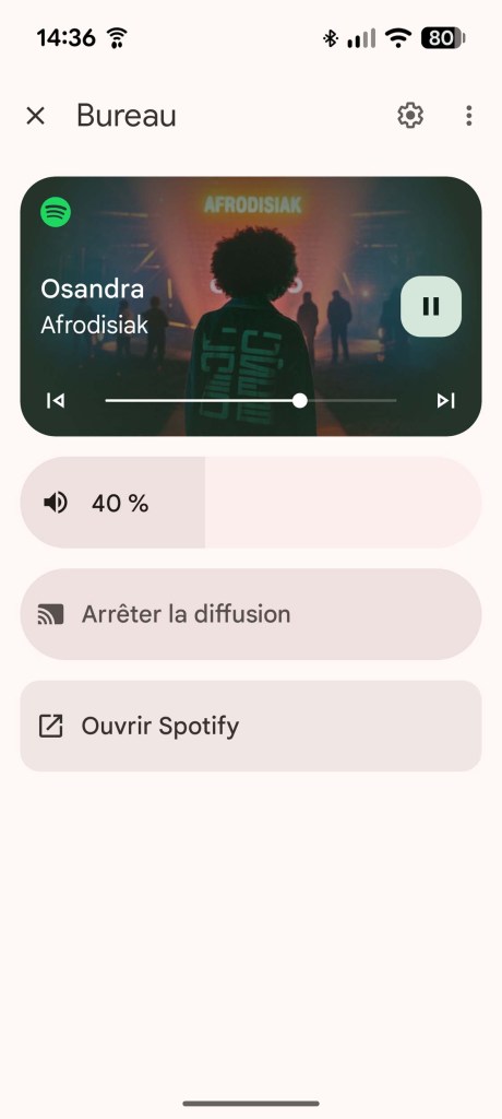 Application Google Home // Source : Sylvain Pichot - Frandroid