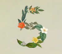 Crédits : Anthropic