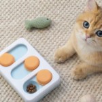 Bambu Lab PLA Pure : un filament 3D « sûr » pour jouets et contact alimentaire, sous conditions