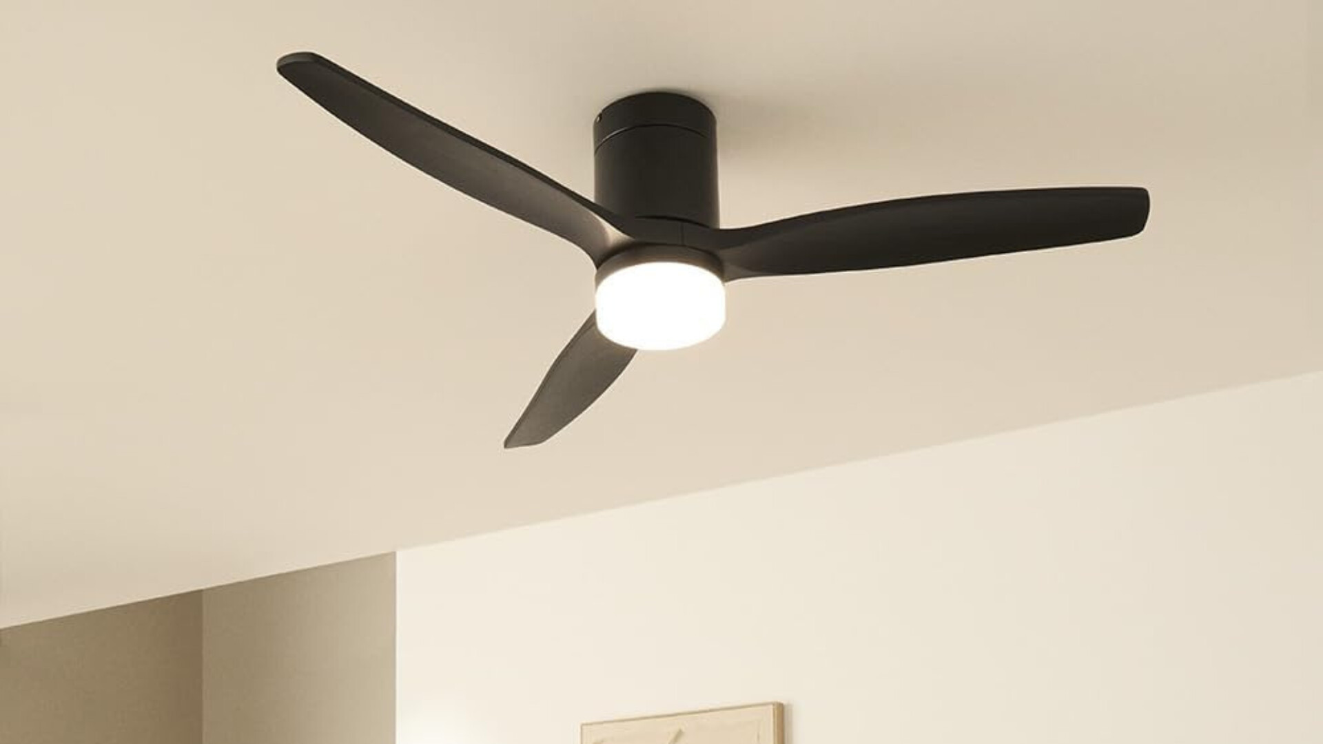 Create WINDCALM M BP
