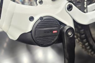 Peugeot eM01 TS moteur Avinox M2s