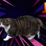 C’est quoi « Le Chaton Fat » attribué à Mistral : le meilleur LLM du moment ? C’est quoi « Le Chaton Fat » attribué à Mistral : le meilleur LLM du moment ?
