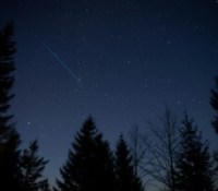 Starlink