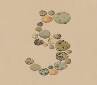 Logo de Claude Opus 5 // Source : Anthropic
