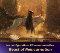 Beast of reincarnation pc config