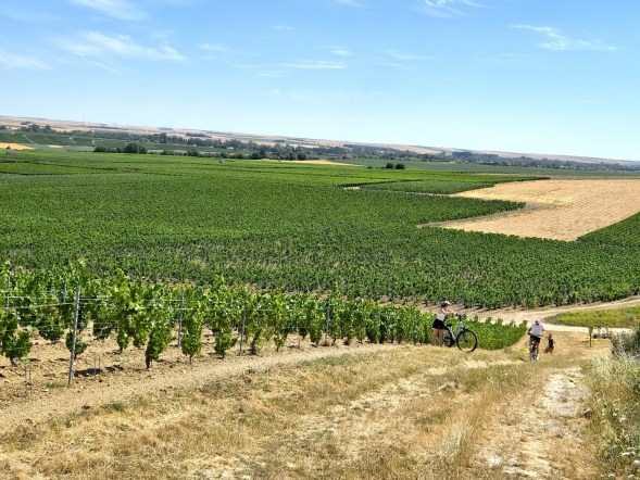 Champagné à vélo - Jour 2 9